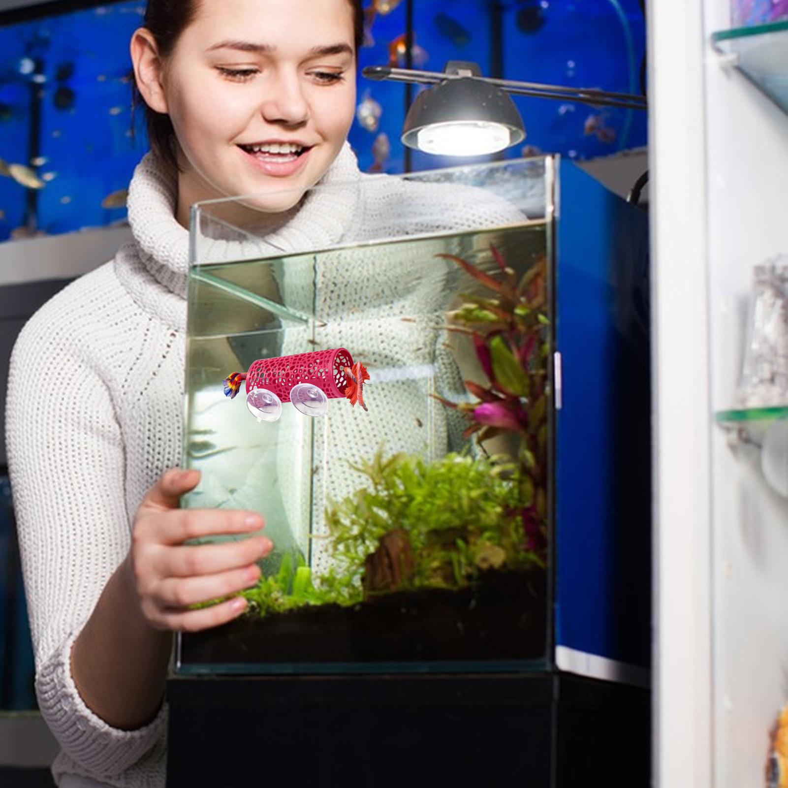 Betta Fish Tank - Уютное убежище-туннель для рыбок Betta: безопасный