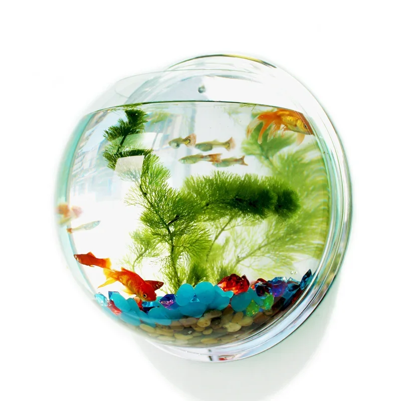 Betta Fish Tank - Акриловая миска для рыбы, настенный аквариум,