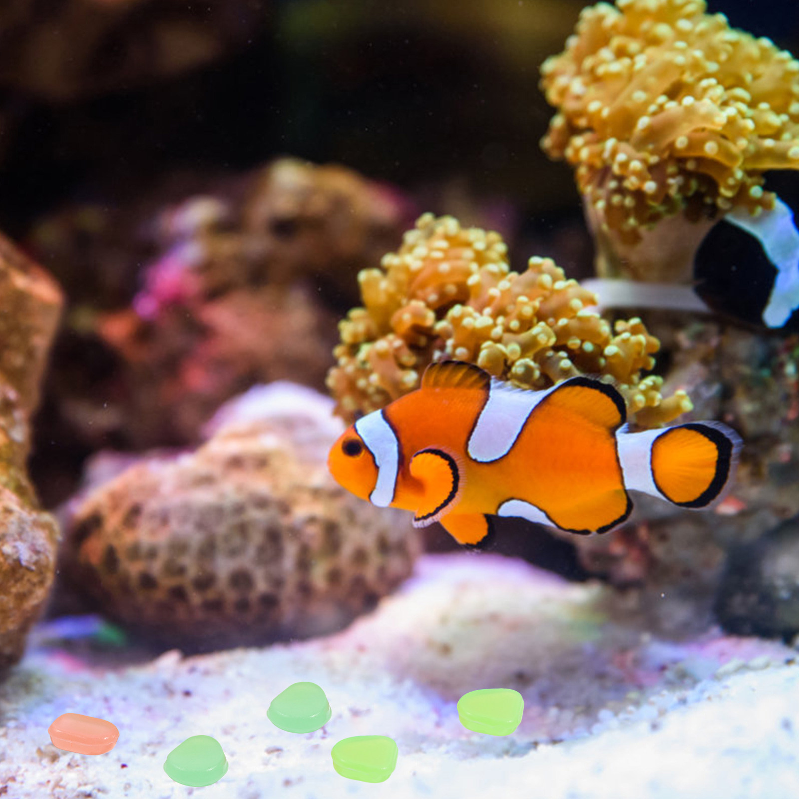 400 шт. светящихся в темноте к – обзор и цена Fish Tank Gravel
