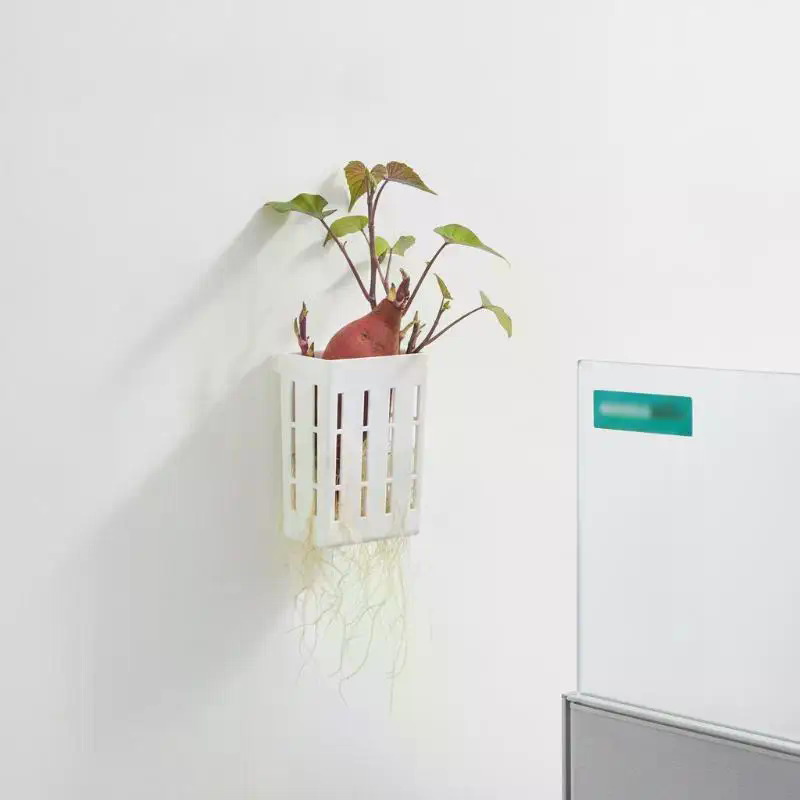 1 шт. Подвесная корзина для ги – обзор и цена Aquarium Plants
