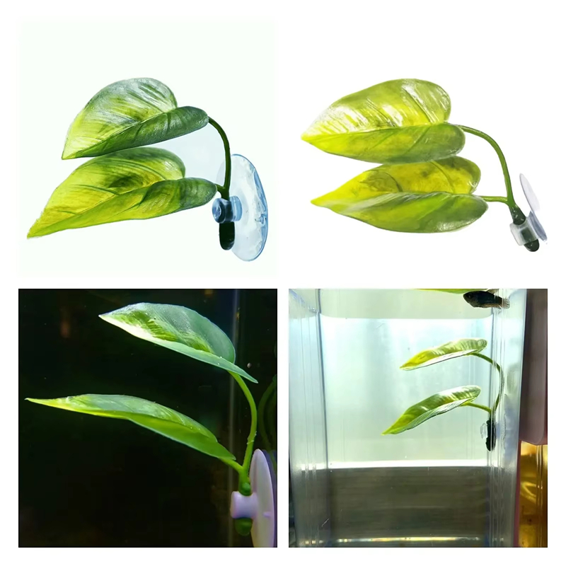 Аксессуары для аквариумов: иск – обзор и цена Betta Fish Tank