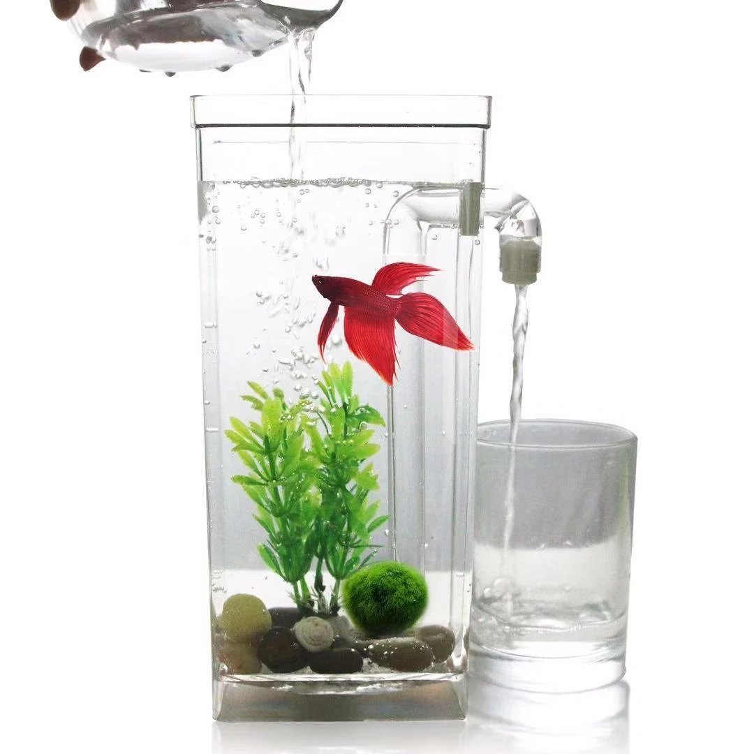 Ленивая бесплатная смена воды, – обзор и цена Aquarium Fish Betta