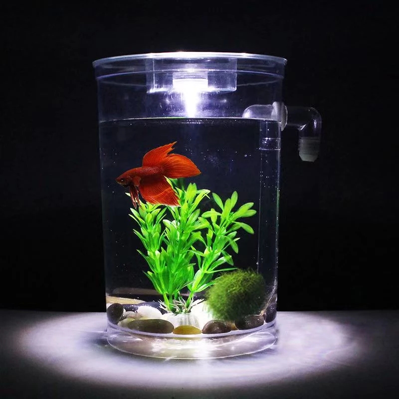 Ленивая бесплатная смена воды, – обзор и цена Aquarium Fish Betta