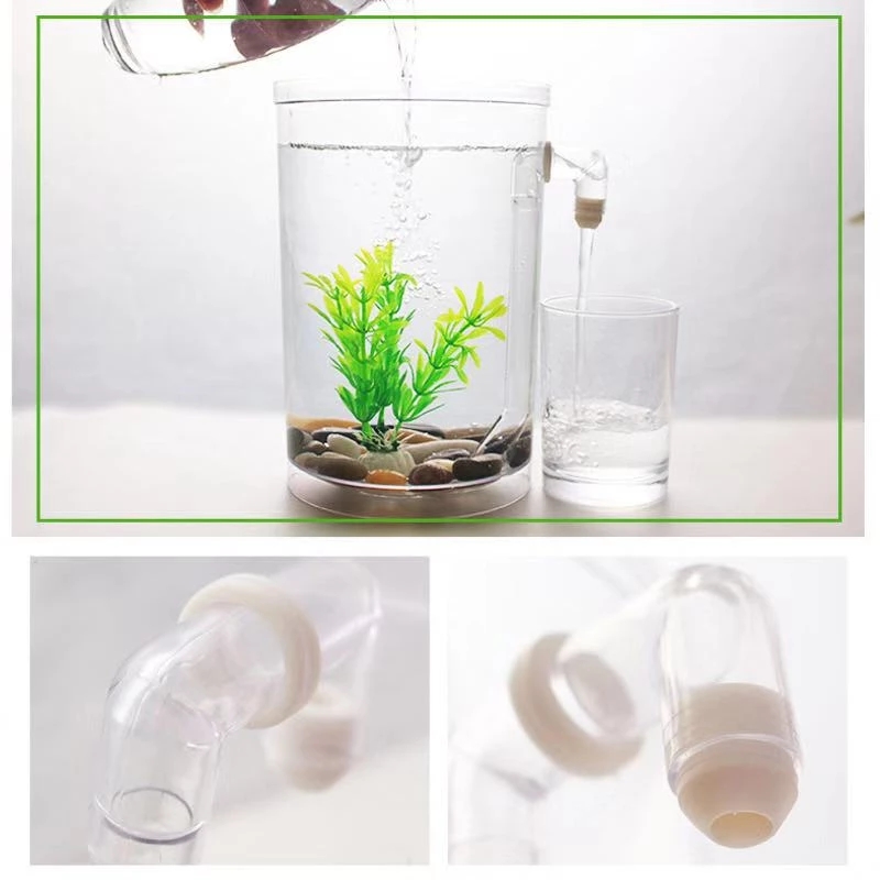 Ленивая бесплатная смена воды, – обзор и цена Aquarium Fish Betta