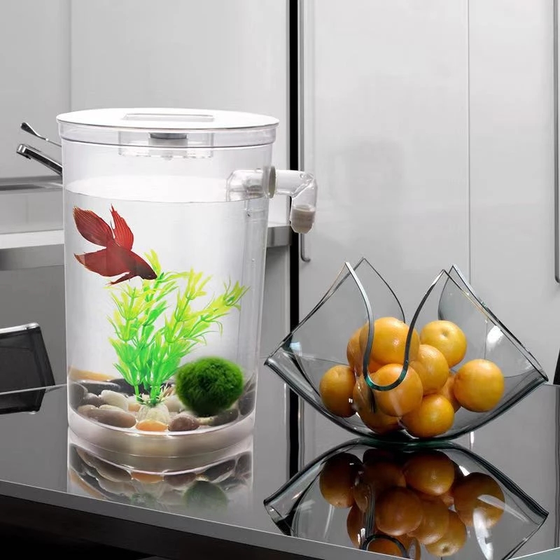 Ленивая бесплатная смена воды, – обзор и цена Aquarium Fish Betta
