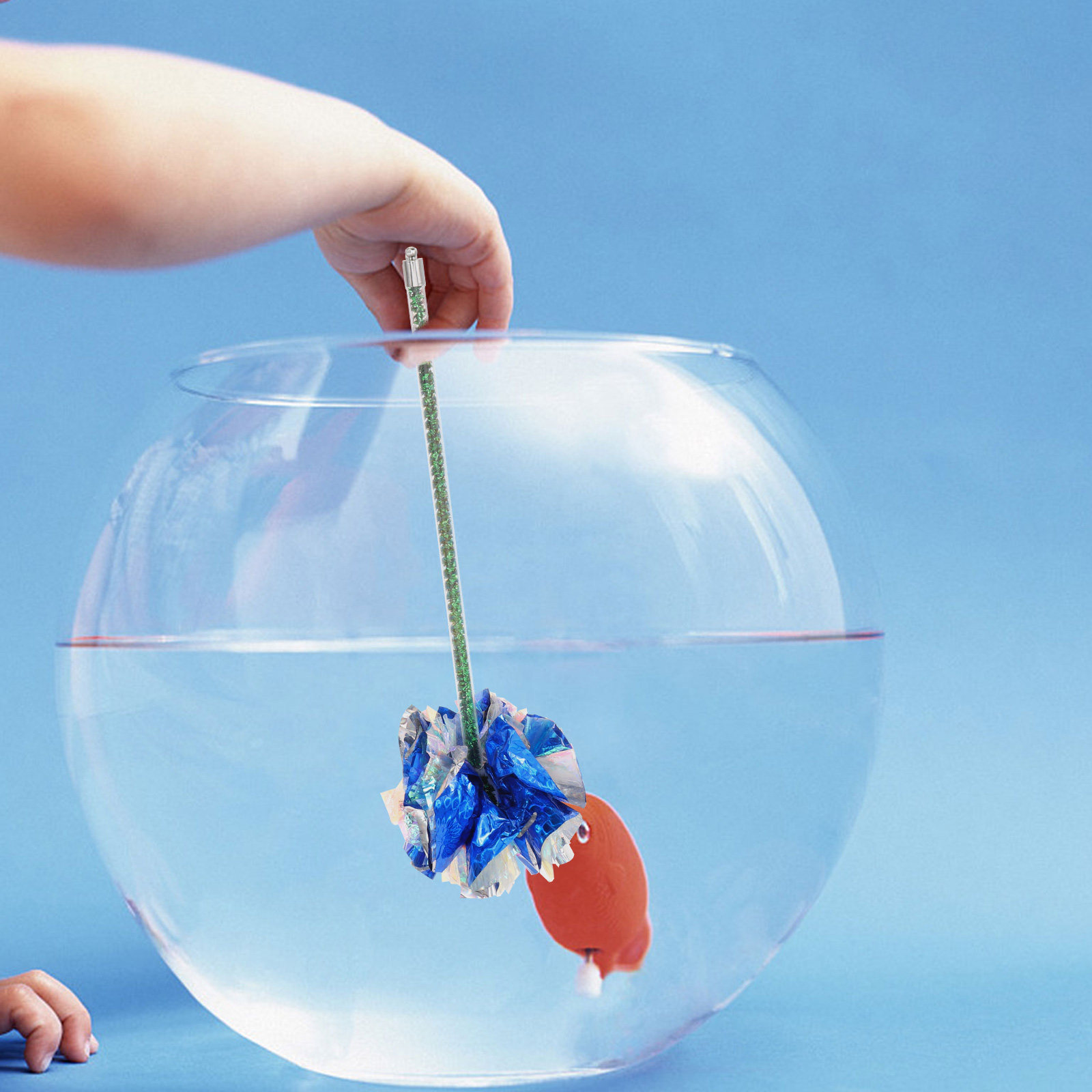 Разноцветная тренировочная пал – обзор и цена Betta Fish Tank