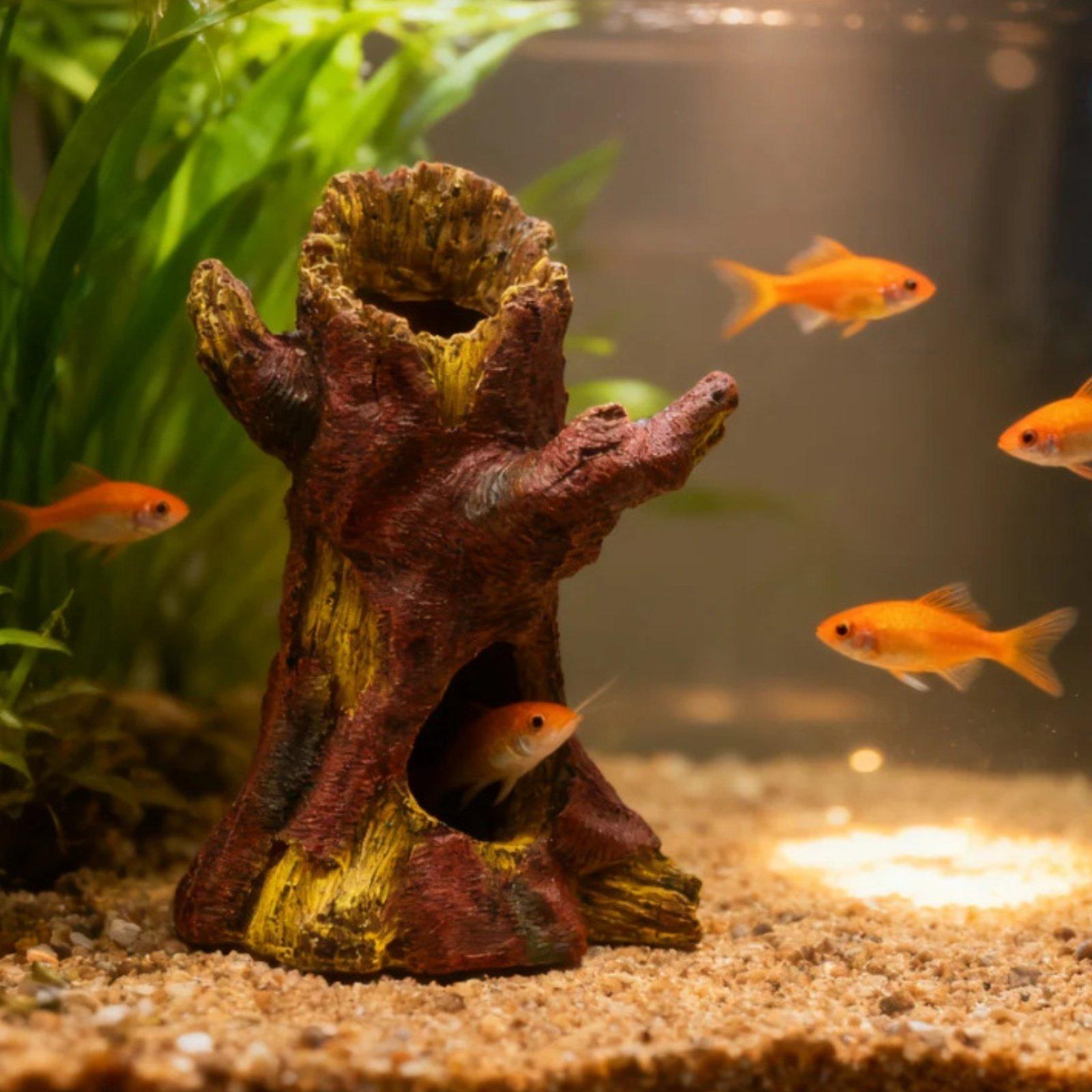 Декор для аквариума: Декоратив – обзор и цена Aquarium Decor