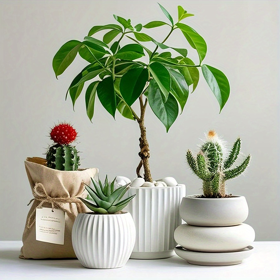 200/400 г белые полированные н – обзор и цена Aquarium Plants
