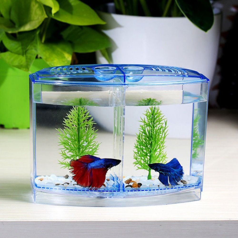 Прозрачный аквариум Betta, дву – обзор и цена Betta Fish Tank