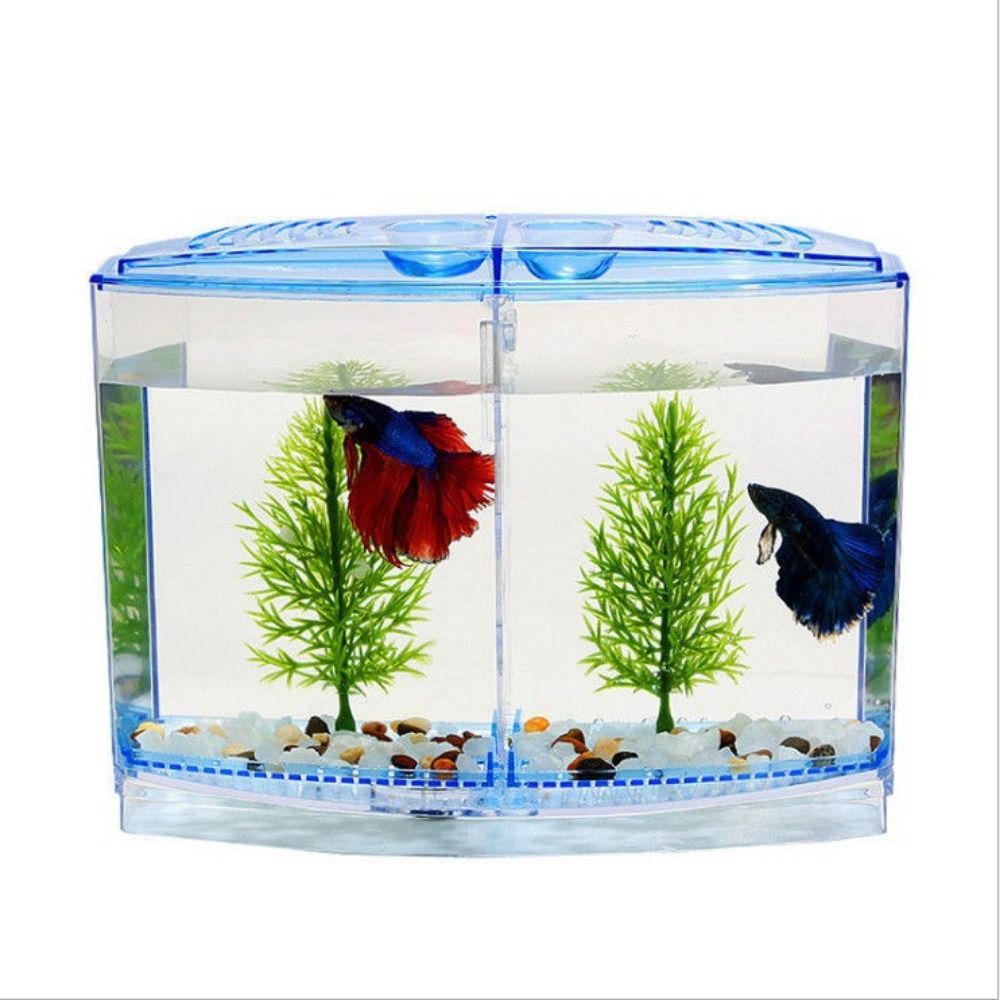 Прозрачный аквариум Betta, дву – обзор и цена Betta Fish Tank