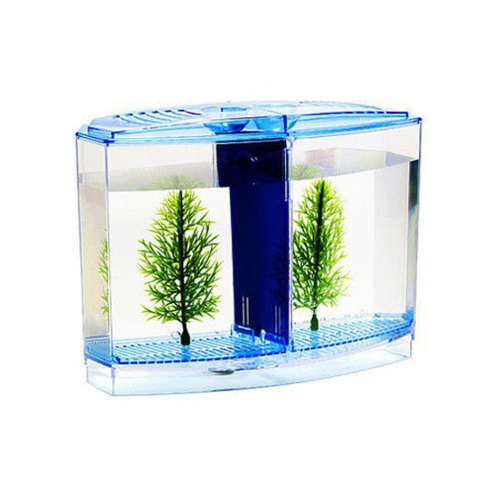 Прозрачный аквариум Betta, дву – обзор и цена Betta Fish Tank