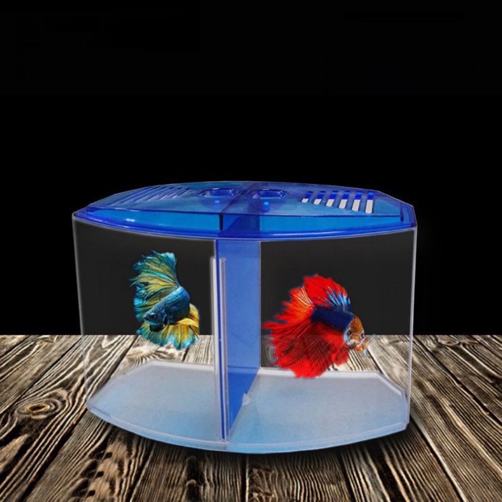 Прозрачный аквариум Betta, дву – обзор и цена Betta Fish Tank