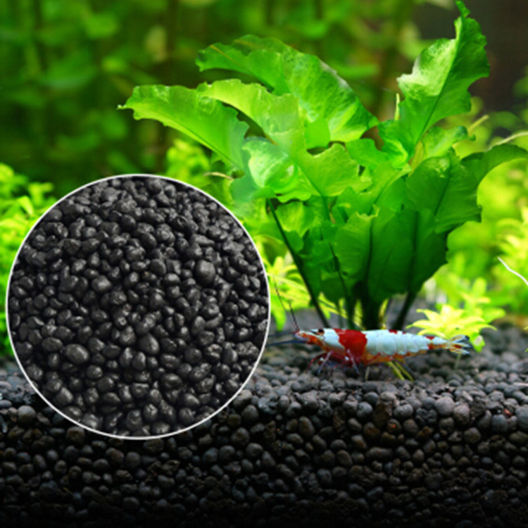 Семена аквариумных растений, п – обзор и цена Fish Tank Gravel