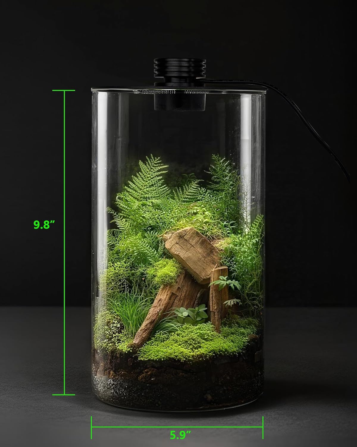 Стеклянный террариум для помещ – обзор и цена Betta Fish Tank