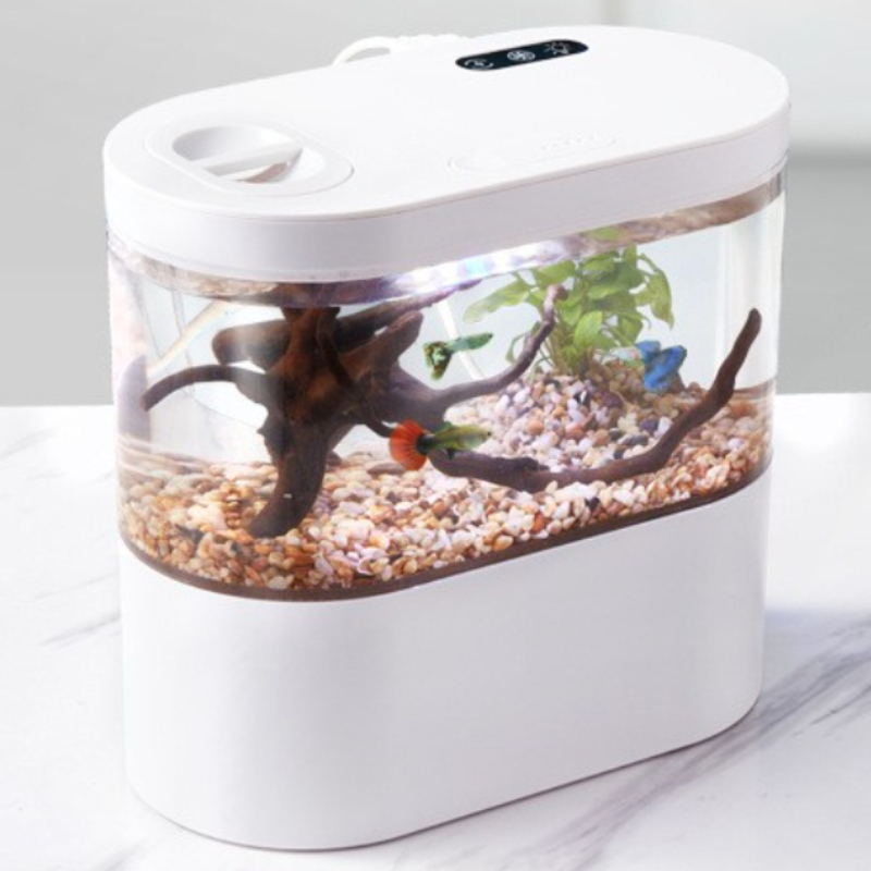 Креативный мини-аквариум для р – обзор и цена Betta Fish Tank