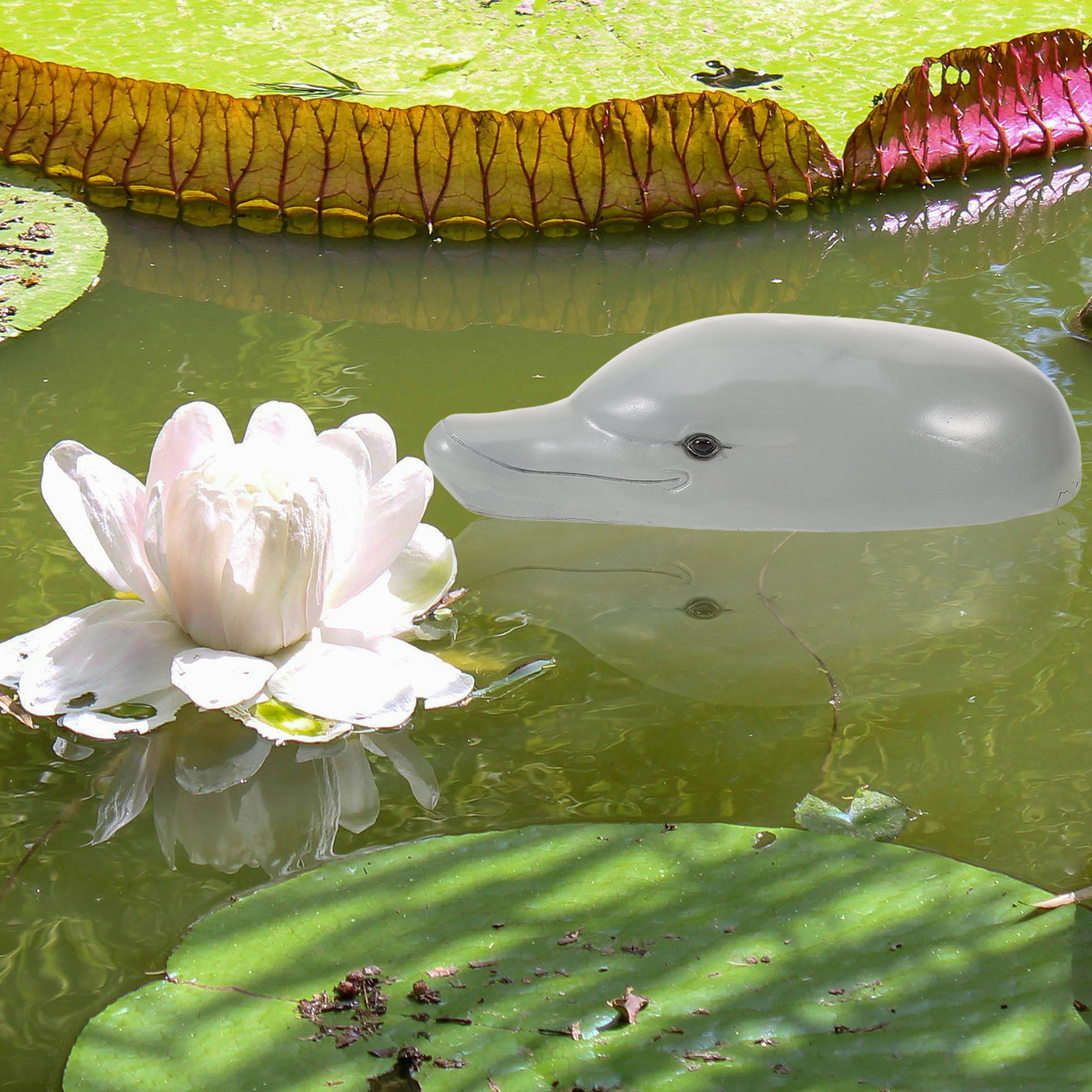 Премиальный декоративный элеме – обзор и цена Aquarium Decor