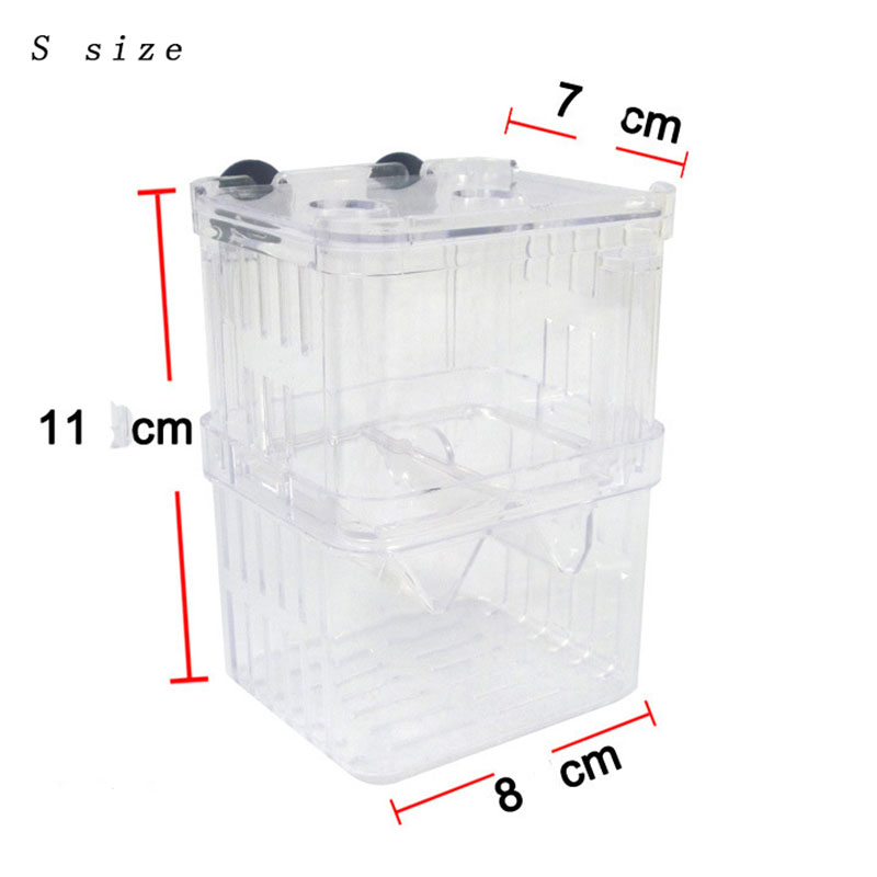 Изолирующая коробка для развед – обзор и цена Betta Fish Tank